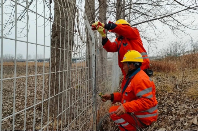 1739838323240999.jpg 01.jpg