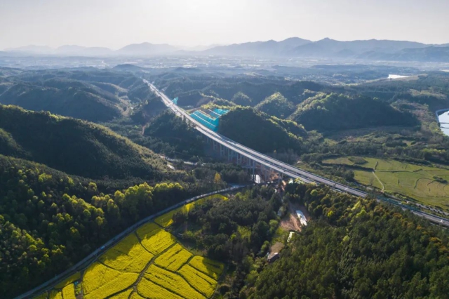 1744279045638115.jpg 01.jpg